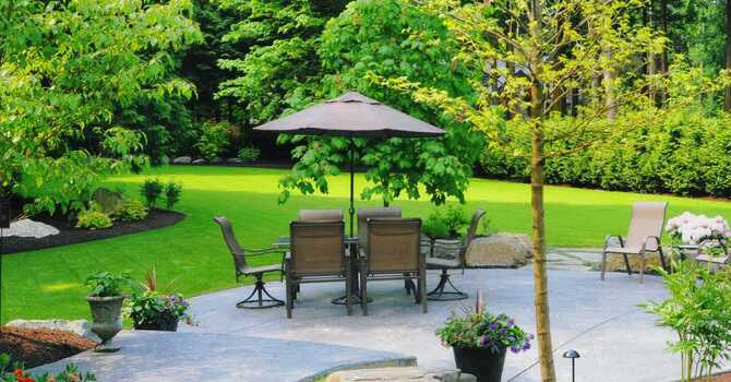 Spring Time and Common Sense image