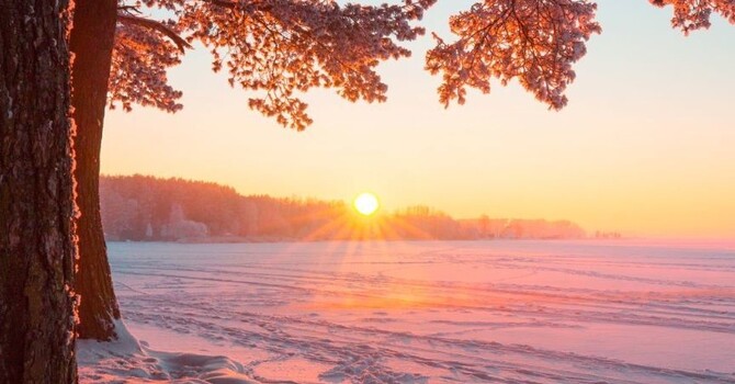 New Year's Fitness Program image