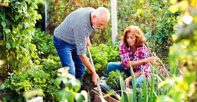   Chiropractic Care and Gardening image