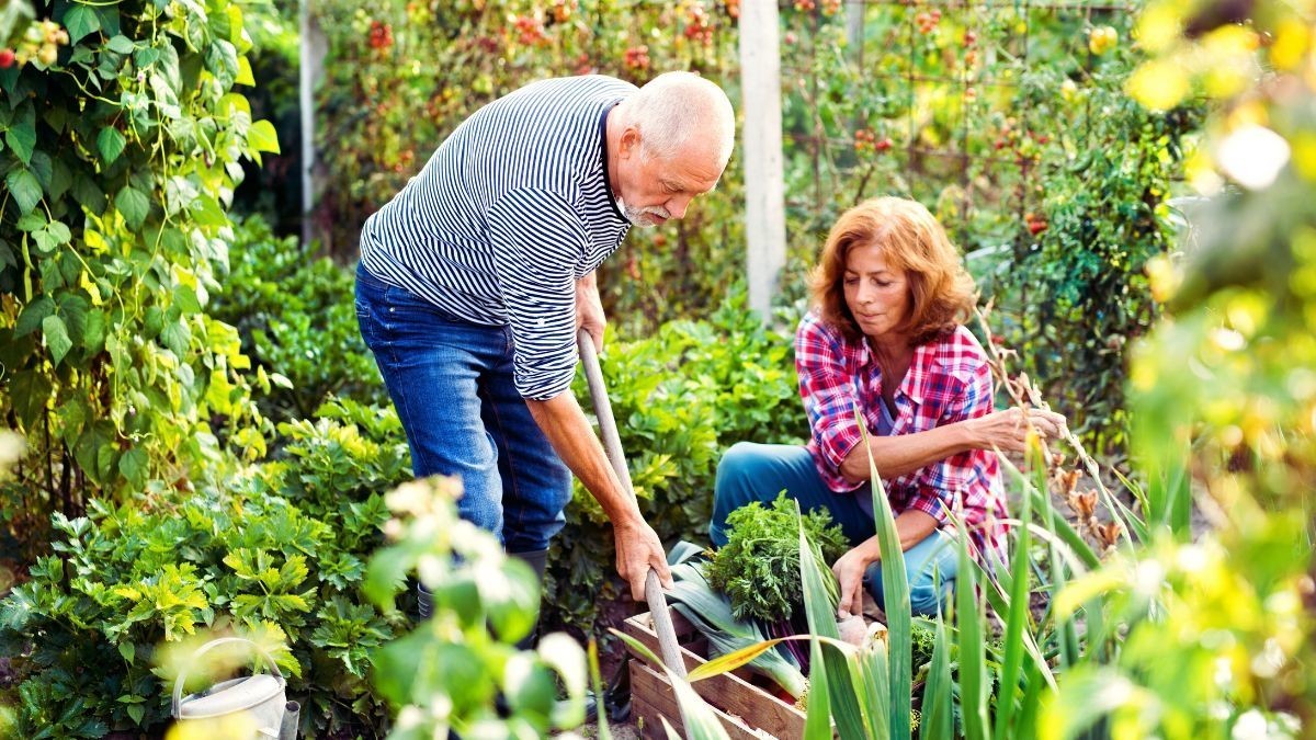 gardening